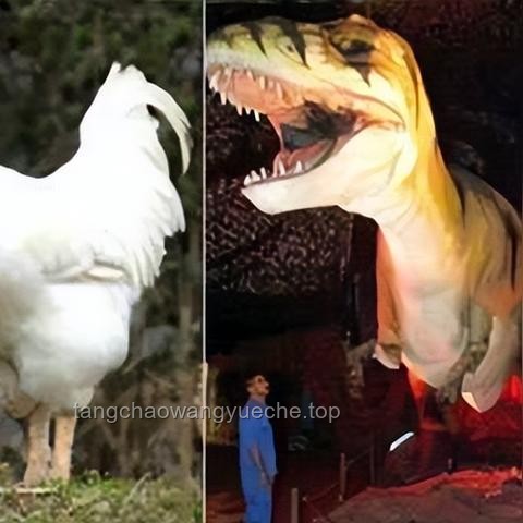 如果鸡是恐龙的后代，它们保留了哪些恐龙时代的特征？🦖🐓 生物学探秘, 恐龙遗迹, 鸟类进化, 科学推理, 自然奥秘